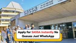 SASSA Services Now Faster via WhatsApp and Website – Here’s How to Access Them in 2025