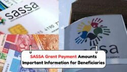 2025 SASSA Grant Amounts Out Now – Who Gets What and What’s Changed in This Year’s Payments
