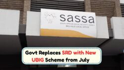 Full Eligibility and Start Date Here – Govt Replaces SRD with New R350 UBIG Scheme from July
