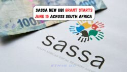 Monthly Support, Eligibility & Payment Dates – New SASSA UBI Grant Starts from June 15, 2025